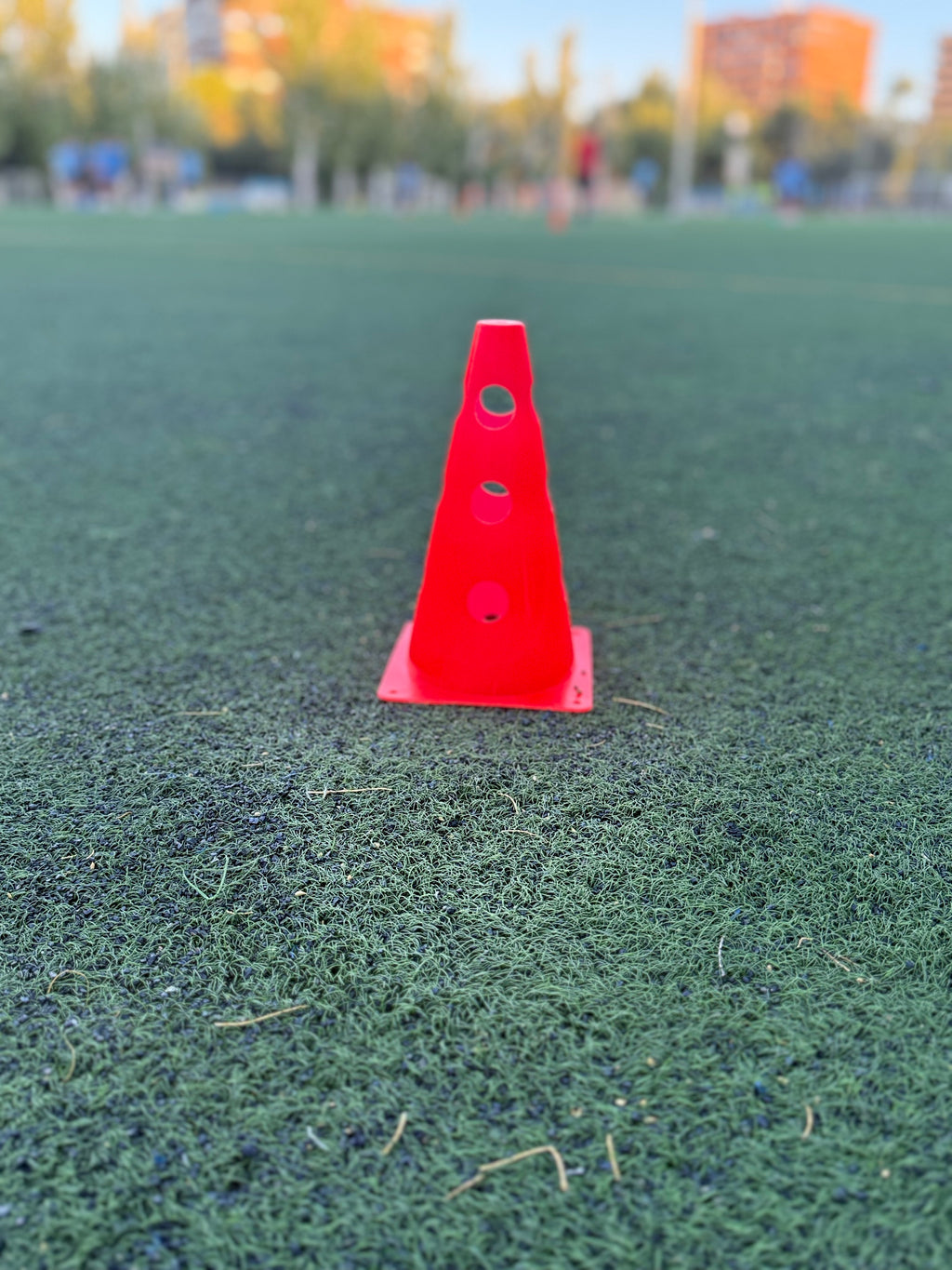 Conos con agujeros (1 ud)