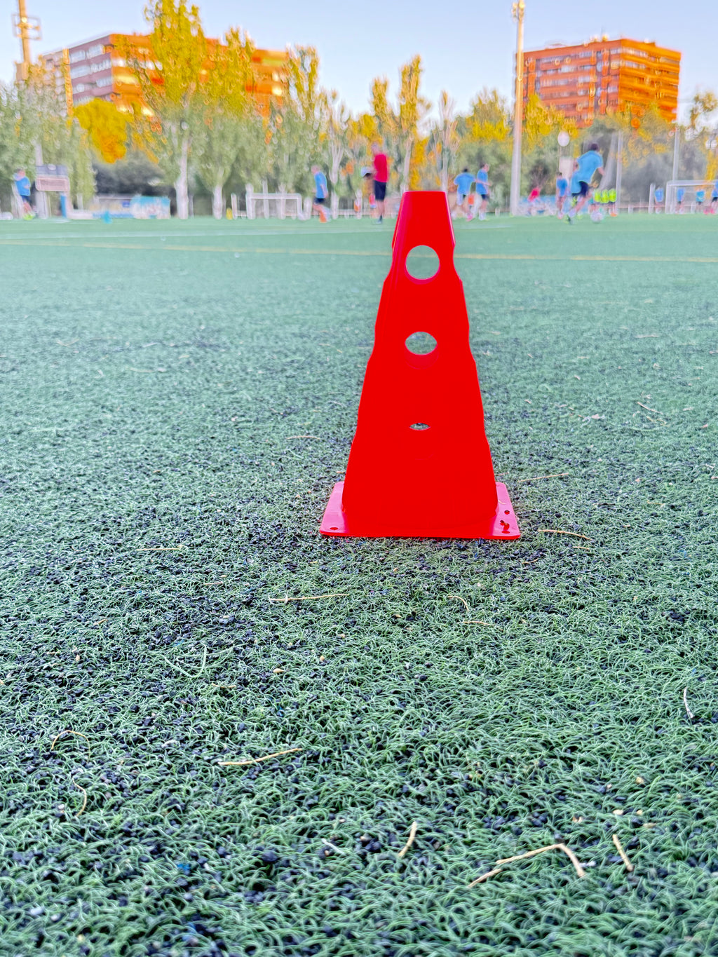 Conos con agujeros (1 ud)