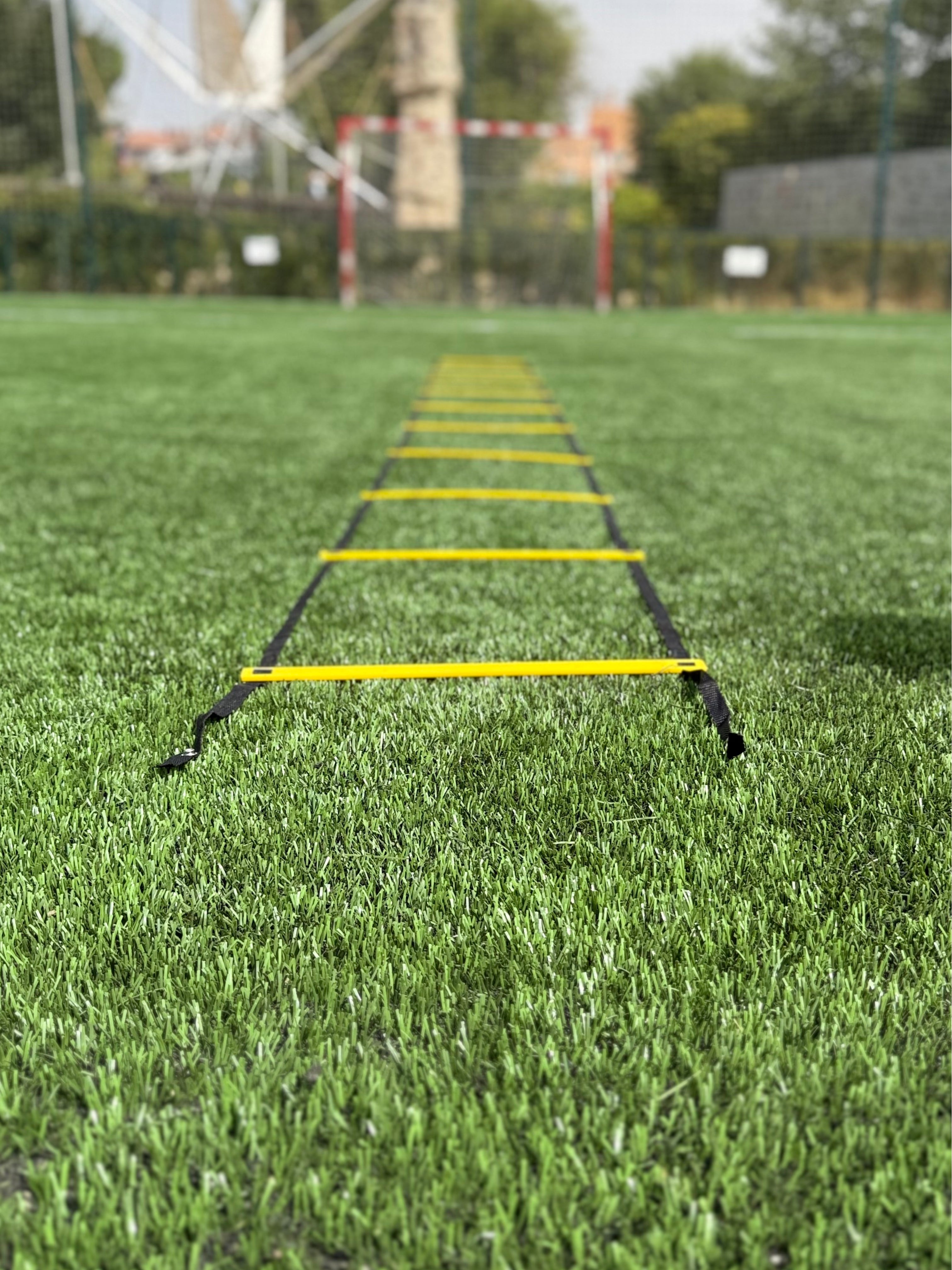 Escalera de agilidad (1 ud)